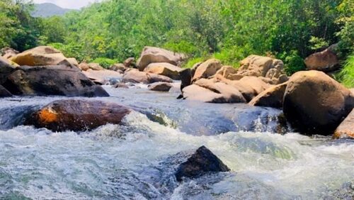 Dòng nước tại suối chảy rất mạnh Dòng nước tại suối chảy rất mạnh