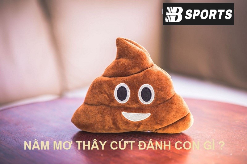 Mơ thấy cứt đánh con gì mau trúng ở Bsports? Mơ thấy cứt đánh con gì mau trúng ở Bsports?