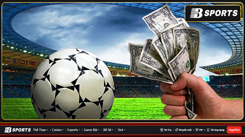 7m Livescore - Cập nhật tỷ số bóng đá nhanh chóng nhất 7m Livescore - Cập nhật tỷ số bóng đá nhanh chóng nhất