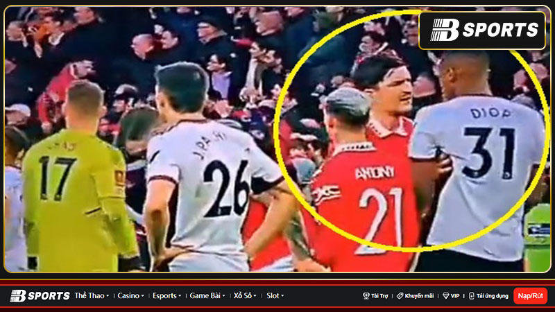 Thái độ của người hâm mộ khi thấy Harry Maguire nổi giận Thái độ của người hâm mộ khi thấy Harry Maguire nổi giận