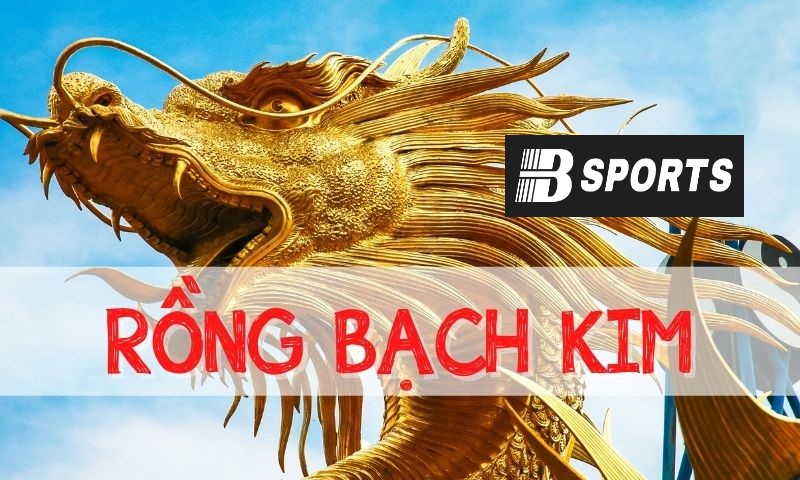 Cặp hay đi cùng Rồng Bạch Kim Cặp hay đi cùng Rồng Bạch Kim