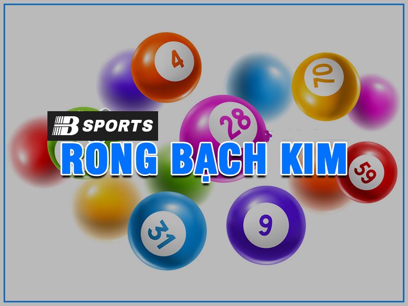 Soi rồng bạch kim bạc nhớ Soi rồng bạch kim bạc nhớ