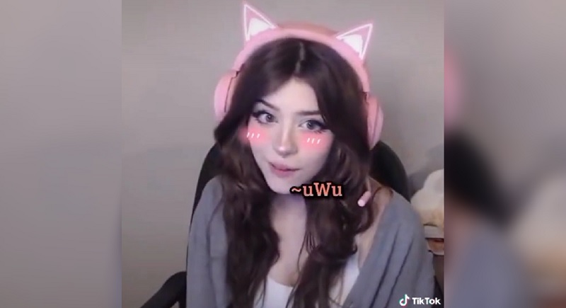 Uwu nổi tiếng và sở hữu lượng người hâm mộ đông đảo Uwu nổi tiếng và sở hữu lượng người hâm mộ đông đảo