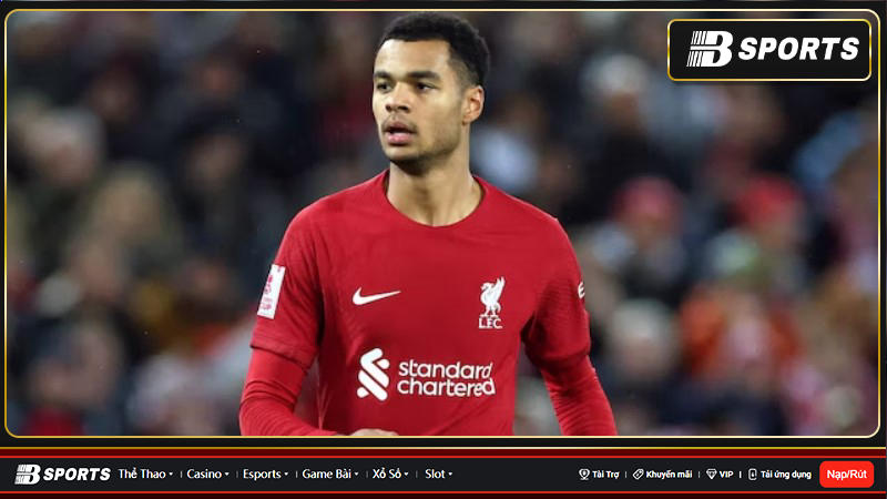 Cody Gakpo góp công lớn cho Hà Lan ở World Cup 2022 Cody Gakpo góp công lớn cho Hà Lan ở World Cup 2022