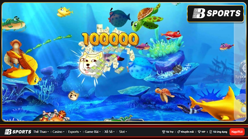 Những thông tin cơ bản về cổng game bắn cá caovietnet Những thông tin cơ bản về cổng game bắn cá caovietnet