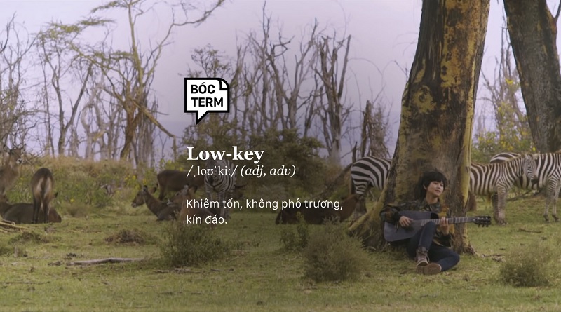 Nguồn gốc xuất xứ của từ lowkey Nguồn gốc xuất xứ của từ lowkey