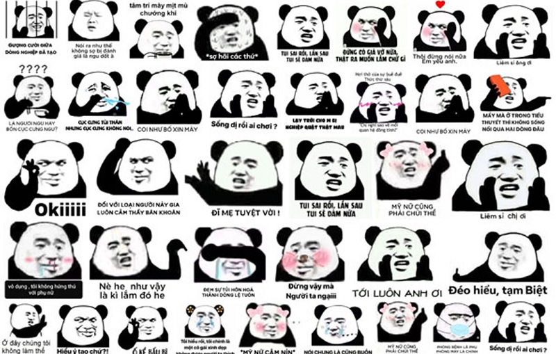 Meme gấu trúc là gì? Meme gấu trúc là gì?