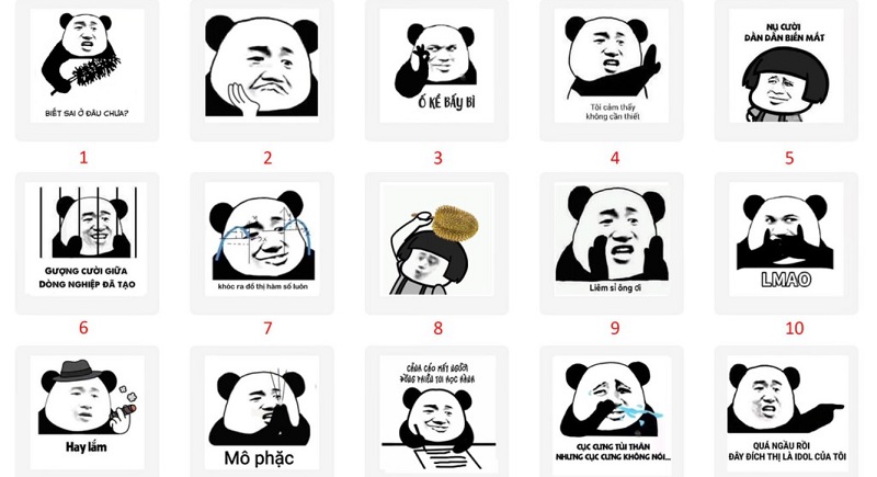 Những hình ảnh meme gấu trúc hot trên mạng Những hình ảnh meme gấu trúc hot trên mạng