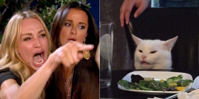 Hình ảnh mèo meme cực khó chịu khiến người xem thích thú Hình ảnh mèo meme cực khó chịu khiến người xem thích thú