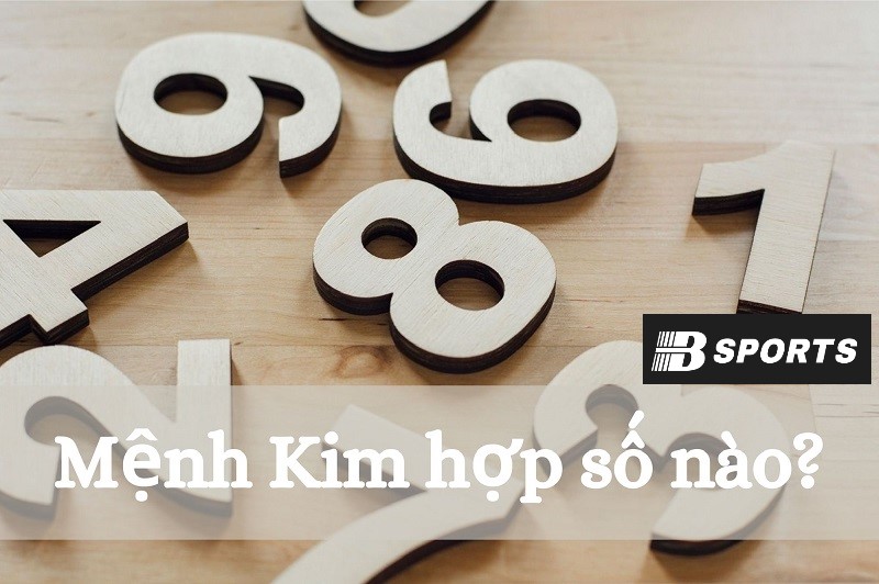 Mệnh Kim hợp số nào - Người mệnh Kim là ai, thuộc năm sinh nào? Mệnh Kim hợp số nào - Người mệnh Kim là ai, thuộc năm sinh nào?