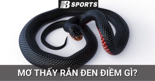 Nằm mơ thấy rắn đen cắn người trên giường Nằm mơ thấy rắn đen cắn người trên giường