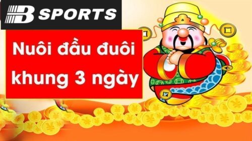 Tìm hiểu đầu đuôi khung 3 ngày là gì? Tìm hiểu đầu đuôi khung 3 ngày là gì?