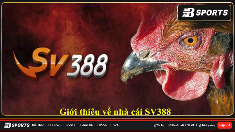 Giới thiệu về SV3888 Giới thiệu về SV3888