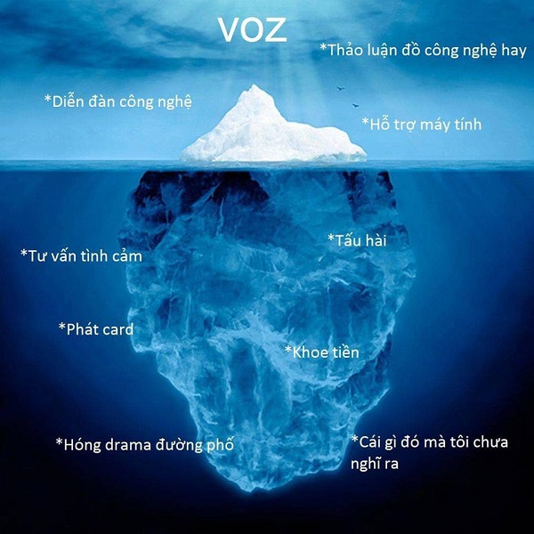 Voz cùng những cụm từ xoay xung quanh Voz cùng những cụm từ xoay xung quanh
