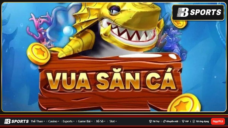 Những thông tin giới thiệu chung về sân chơi vuasanca Những thông tin giới thiệu chung về sân chơi vuasanca
