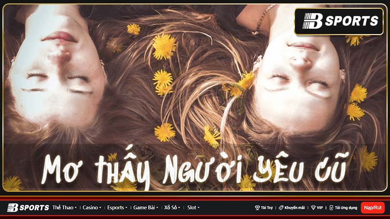 Mơ người yêu cũ đánh con gì hợp lý? Mơ người yêu cũ đánh con gì hợp lý?