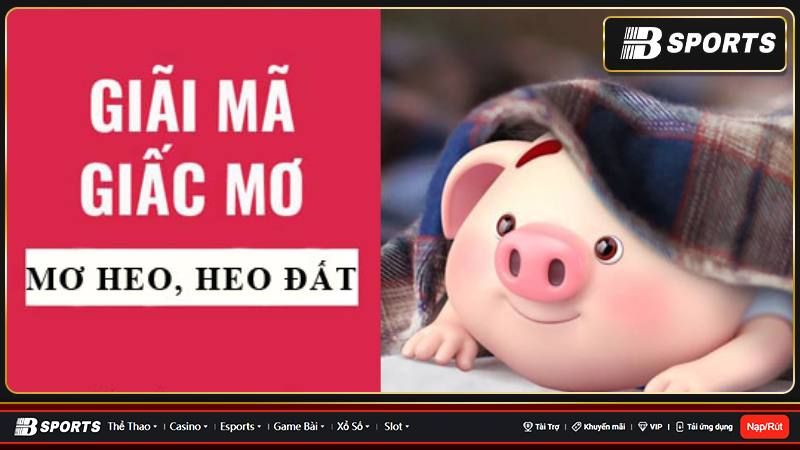 Giải mã nằm mơ thấy chuồng heo Giải mã nằm mơ thấy chuồng heo