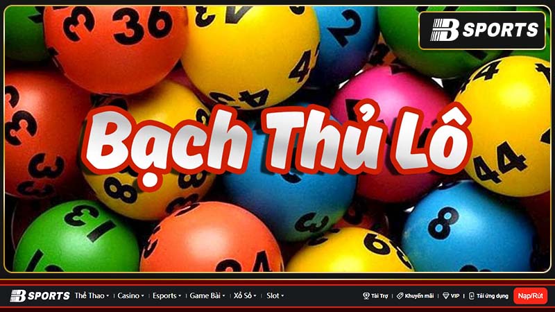 Lô tô bạch thủ được nhiều người ưa chuộng Lô tô bạch thủ được nhiều người ưa chuộng